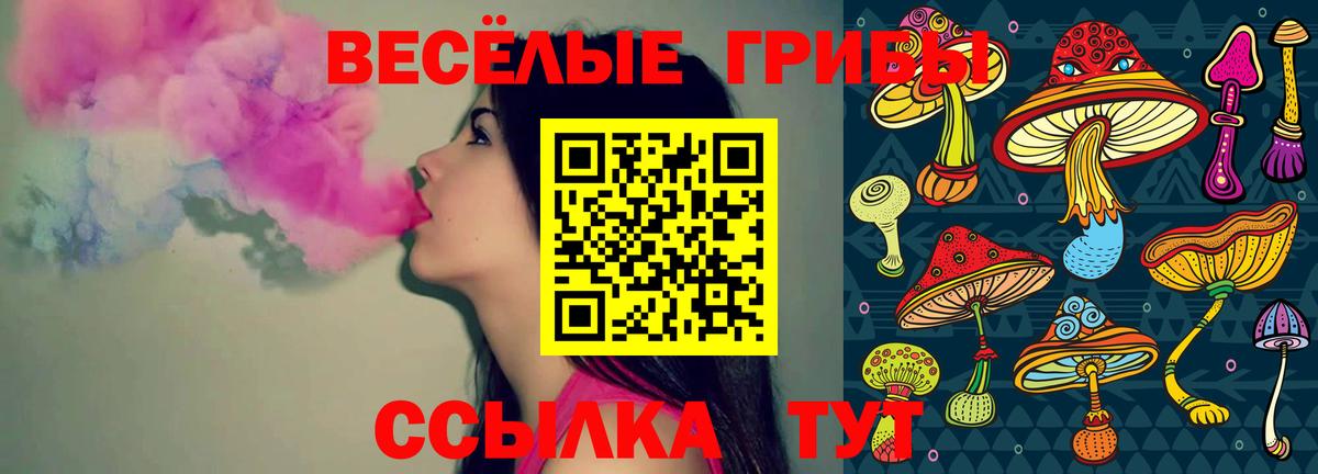 Галлюциногенные грибы Magic Shrooms Холмск